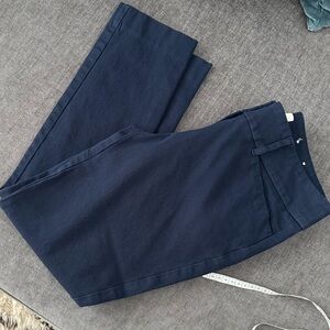 Loft Skinny Ankle Strech Pants